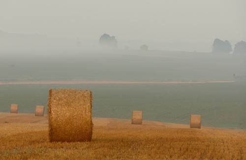 Beta iPhone 5s Desativado? Veja Como Voltar a Apostar e Ganhar!